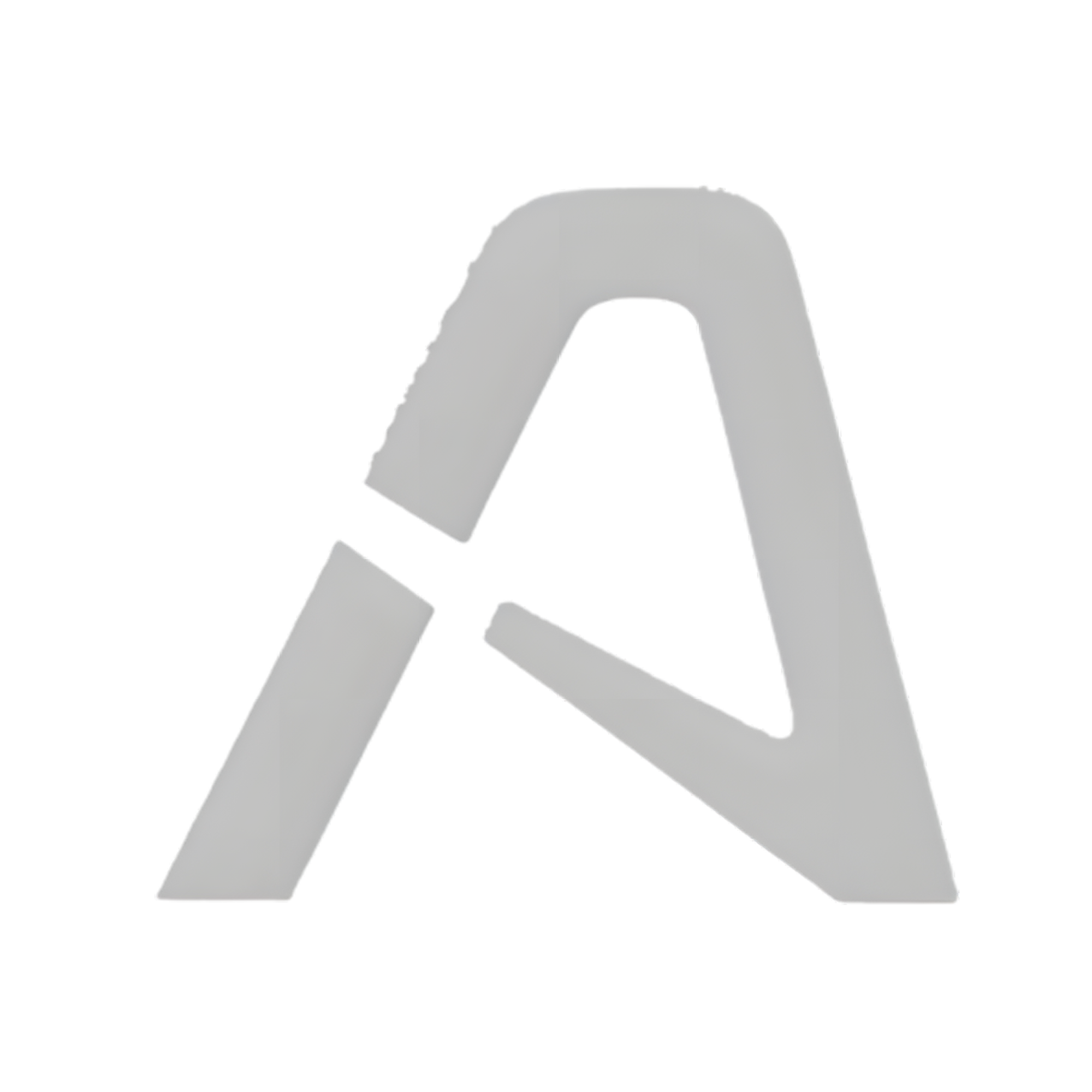 A N T Dynamic Transportation Logo